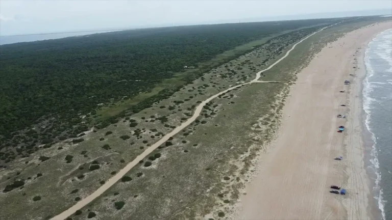 Vue de drone de la longue plage sauvage des Outer Banks en Caroline du Nord
